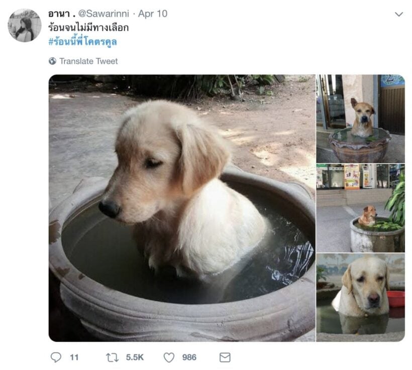 Twitter shares the Songkran experience - 2.8 million tweets | News by Thaiger