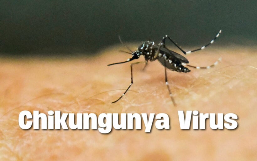 Update on Chikungunya cases in Thailand