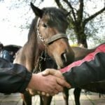 Bhumjaithai and Democrats holding off decision for key roles | Thaiger