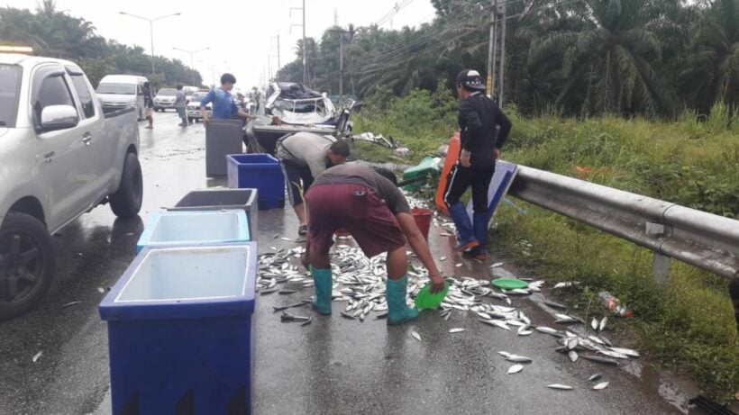 Three injured in fresh seafood pickup accident in Krabi | News by Thaiger