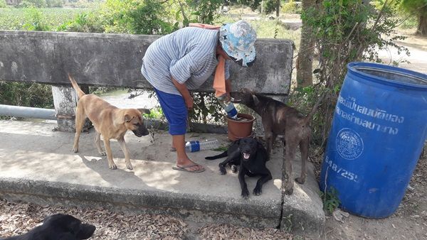 ไอ้หื่นพยายามปล้นยายวัย 68 ซ้ำหลังพยายามข่มขืนเด็ก 14 | The Thaiger