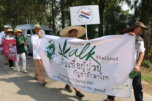ปชช.นับพันแห่ร่วมเดินขบวนจากพิจิตร – สุพรรณรณรงค์ถอดกัญชาออกจากบัญชียาเสพติด | The Thaiger