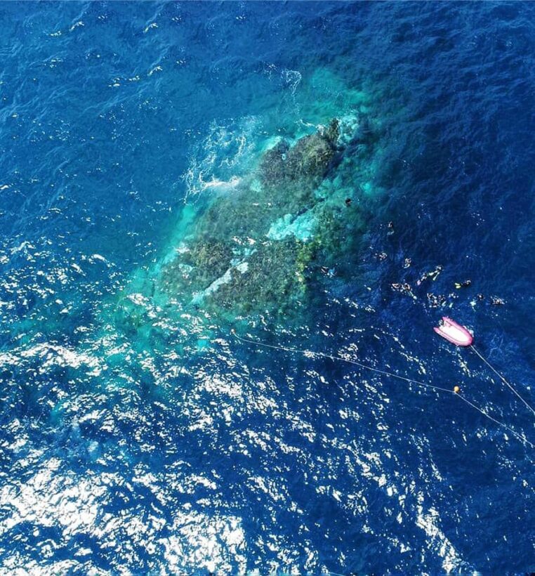 Massive corals off Rayong start bleaching