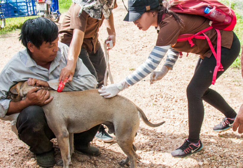 Thailand’s first Rabies death for the year