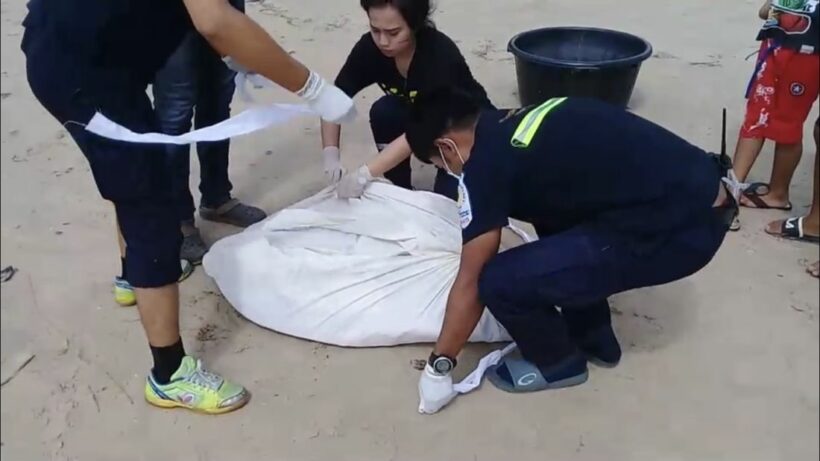 Garbage found inside a dead sea turtle on Kamala beach | News by Thaiger