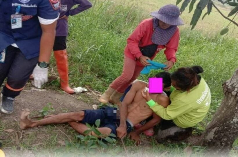 Ouch! Man falls from mango tree, ends up with metal rod through his testicles