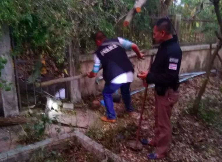 ทุกชีวิตมีค่า! ตำรวจกู้ชีพตัวเงินตัวทองที่อ้วนจนติดรั้ว | The Thaiger