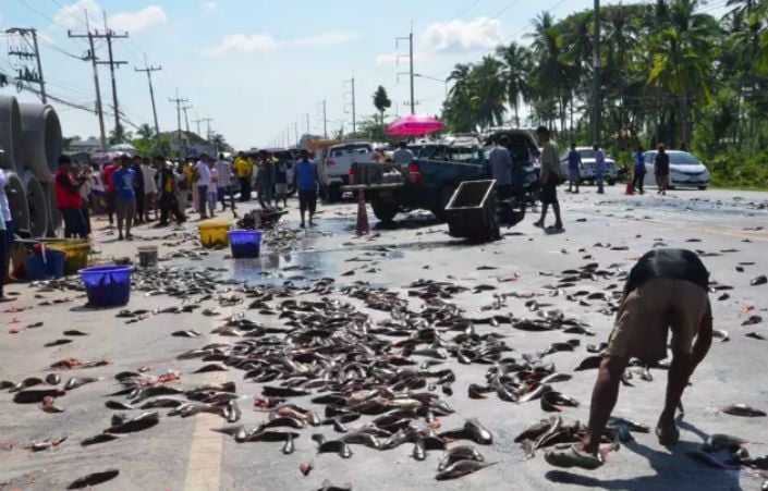 Woman killed, nine injured in seven-vehicle pileup in Nakhon Si Thammarat