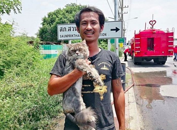 หนุ่มขับรถพ่วงหนีตาย ไฟไหม้ท่วมรถ คว้า ‘เจ้าสิบล้อ’ แมวสุดรักรอดทั้งคู่ | The Thaiger