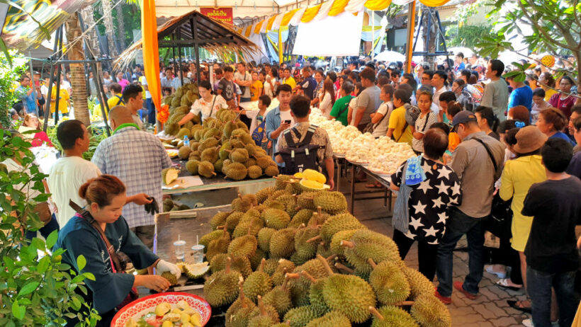 Seven tonnes of durian handed out for Labour Day in Samut Sakhon