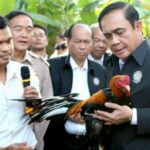 Thai PM takes flack from social media over his Animal Farm recommendation | Thaiger