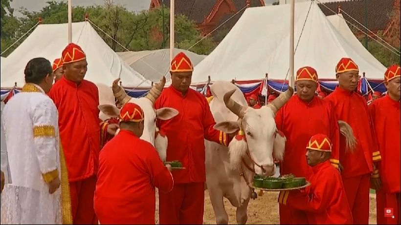 ประวัติวันพืชมงคล พระราชพิธีแรกนาขวัญ | The Thaiger