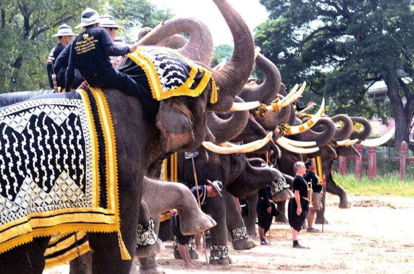 Thailand’s Ayutthaya Elephant Palace says they will fight eviction orders