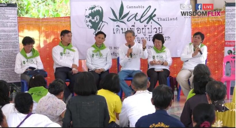 Cannabis Walk Thailand 2019 says progress made but challenges ahead