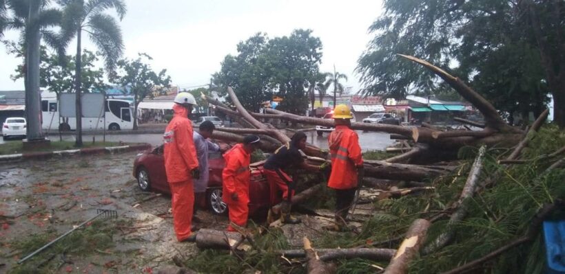 Trees damage cars and a house in Phuket | News by Thaiger