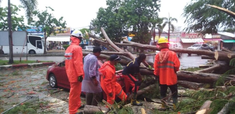 Trees damage cars and a house in Phuket