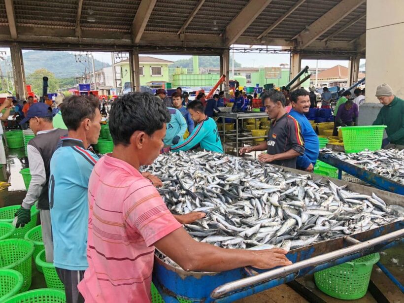 Government runs fishing-law workshop in Phuket