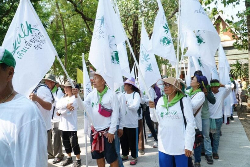 Cannabis Walk Thailand 2019 says progress made but challenges ahead | News by Thaiger