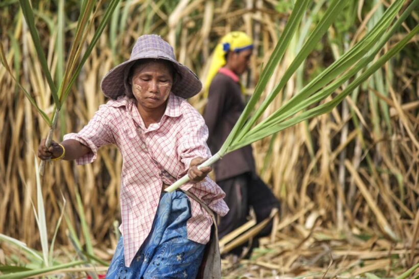 ASEAN meeting reports on global sugar deficit and opportunities for SE Asian countries