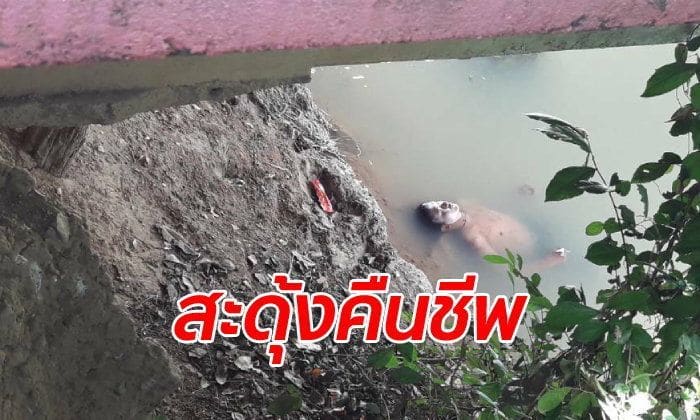 กู้ภัยใจเกือบวาย ลงไปเก็บศพลอยน้ำ จู่ๆ สะดุ้งฟื้นลืมตาโพลง | The Thaiger
