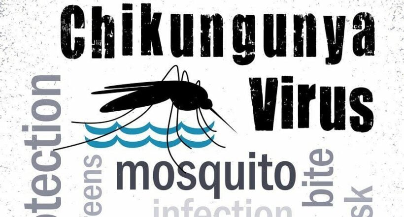 Health warning: Chikungunya cases up in Thailand’s southern province