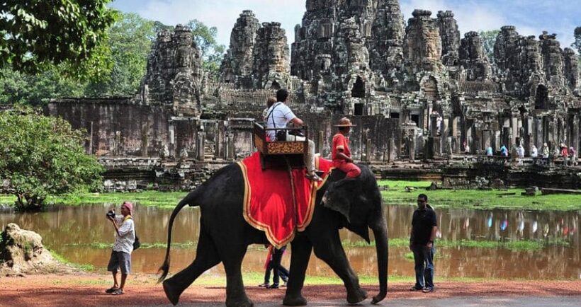 Elephant rides to be banned around Angkor Wat in Siem Reap