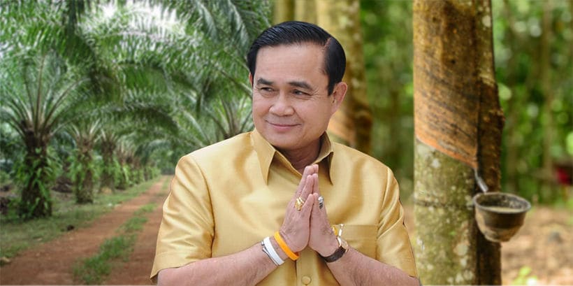 ‘ประยุทธ์’ โว ราคาปาล์มและยางพาราสูงขึ้นในรอบหลายปี แก้ปัญหาไม่ฉาบฉวย | The Thaiger
