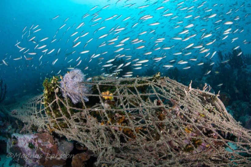 Campaign to clear ‘Ghost Nets’ from Mergui Archipelago, Myanmar