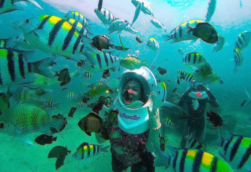 Chon Buri government aims to protect Pattaya’s Near Islands | The Thaiger