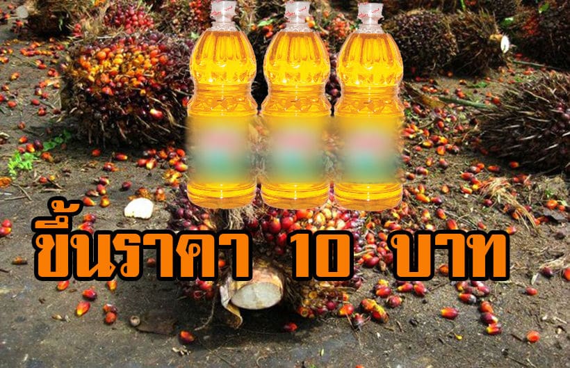 ห้างสรรพสินค้าปรับราคาน้ำมันปาล์มขึ้น 10 บาท ขานรับนโยบายรัฐบาล | The Thaiger