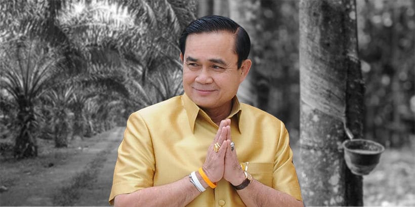 ไม่เหมือนบิ๊กตู่คุย เกษตรกรบอก ปาล์มขึ้นไม่เกี่ยวนโยบายรัฐ | The Thaiger