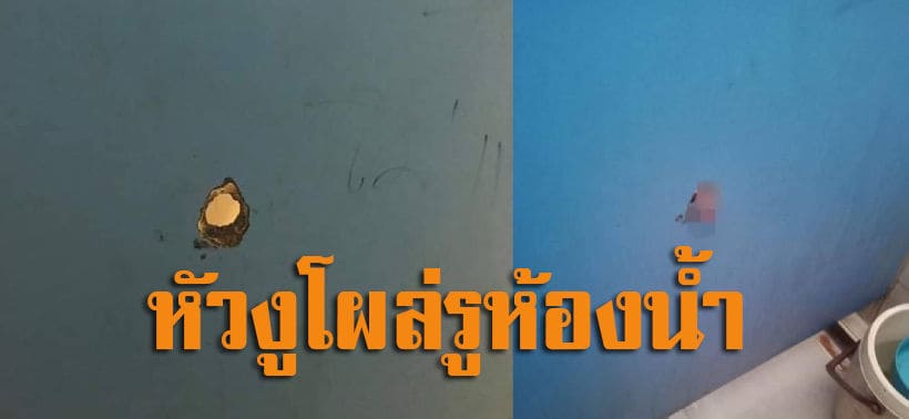 เตือนภัยชายหนุ่ม งูผงาดโผล่รูห้องน้ำบขส.ชัยภูมิ กะใช้ยางดีด แต่อีกฝ่ายชักกลับทัน | The Thaiger