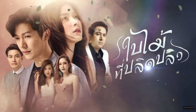 “ใบไม้ที่ปลิดปลิว” ถ่ายทอดฉาก “แยงโม” สมจริงจนชาวเน็ตชื่นชม | The Thaiger