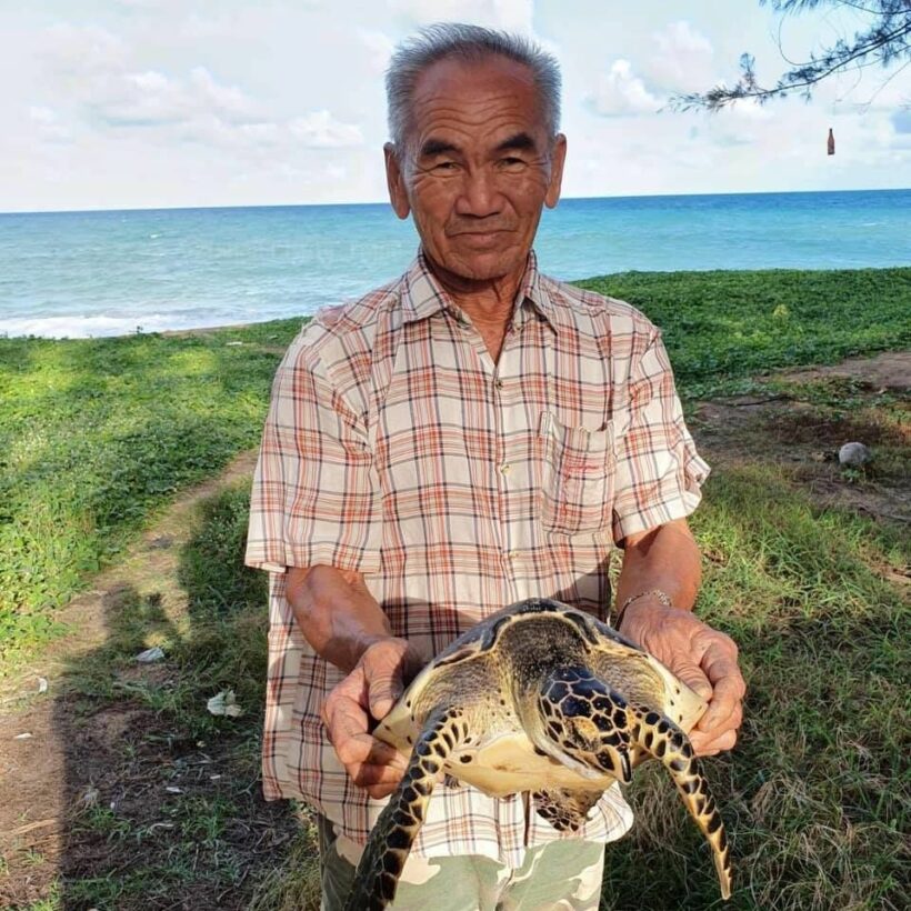 Another sea turtle saved from a random trawling net in Phuket | News by Thaiger