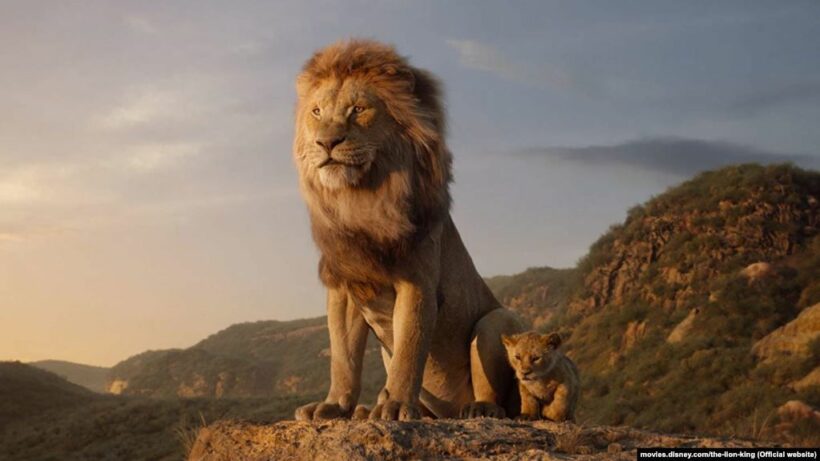 The Lion King ถล่มรายได้วันศุกร์ 78 ล้านเหรียญ-คาดการณ์รายได้สุดสัปดาห์ | The Thaiger
