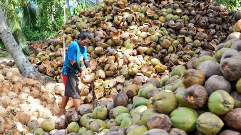 Thai parliament addresses low prices for farm produce