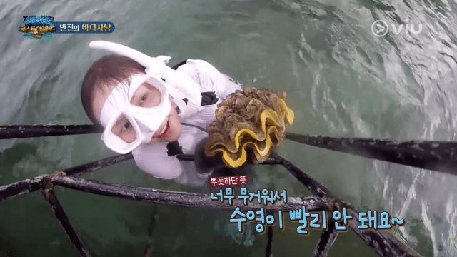 Blacklist ผู้ผลิตรายการ “Law of the Jungle” กรณีทำลายหอยมือเสือ | The Thaiger