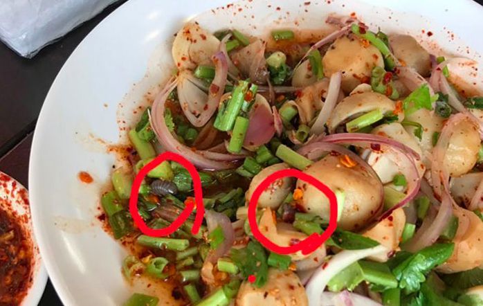 สาวกรี๊ด เจอซากกิ้งกือในลาบ แถมร้านไม่ยอมรับผิดชอบ | The Thaiger