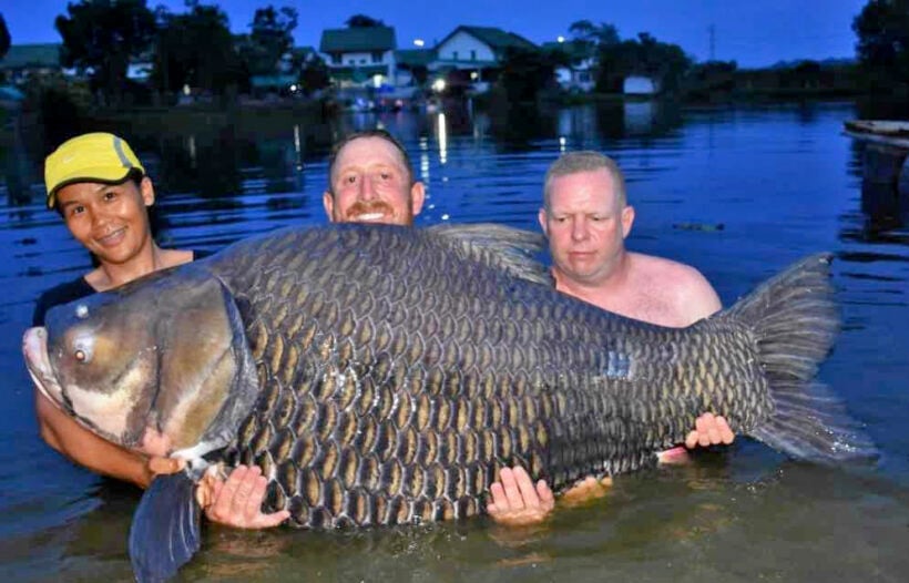 British expat catches world’s biggest carp in Thailand