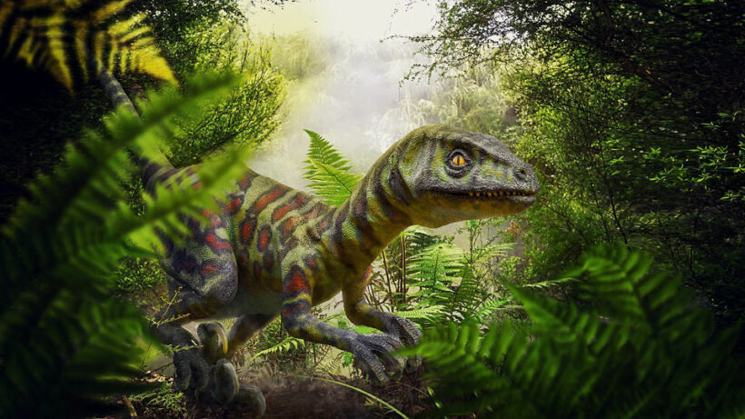 An 80 million year old carnivorous dinosaur from Thailand identified