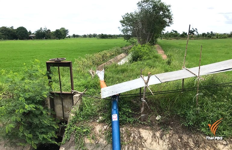 Farmers resort to household waste water to save their crops in Suphan Buri