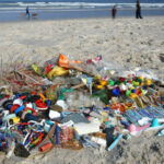 ASEAN commit to eliminating marine plastic | Thaiger
