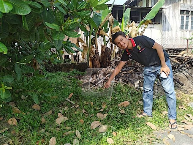 เหมียวแสนรู้ ช่วยชีวิตเด็กทารกถูกทิ้งใกล้จุดเผาขยะ | News by The Thaiger