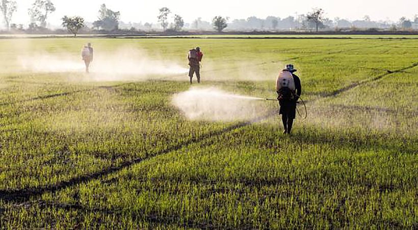 Three herbicides will be banned in Thailand this year | The Thaiger