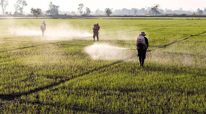 Three herbicides will be banned in Thailand this year