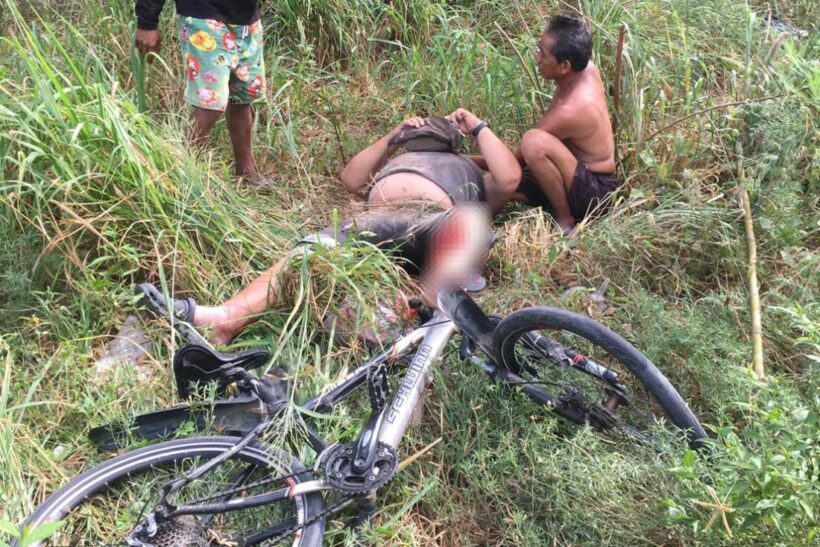 Elephant gores German cyclist near Pattaya