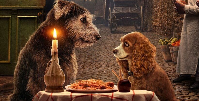 ตัวอย่างภาพยนตร์ Lady and The Tramp ฉบับ Live Action กับฉากอันโด่งดัง | The Thaiger