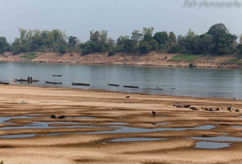 Dams, politics and greed are killing the mighty Mekong River