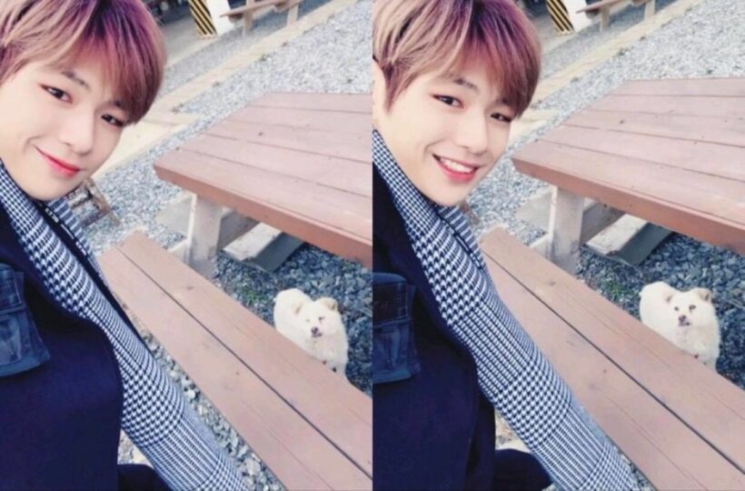 คัง แดเนียล โพสต์ขอโทษแฟนๆ หลังมีข่าวเดท | The Thaiger