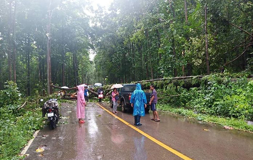 Tropical storm Wipha causes landslides in Tak